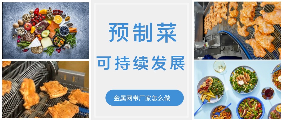 金屬輸送網(wǎng)帶的領(lǐng)頭企業(yè)，預(yù)制菜的可持續(xù)發(fā)展中能做什么？