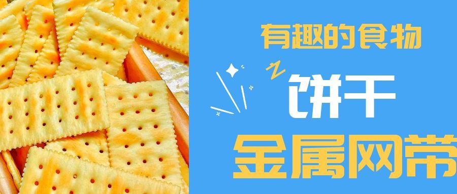 【有趣的食物】餅干到底用到多少金屬網(wǎng)帶？